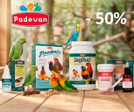 Padovan Padovan